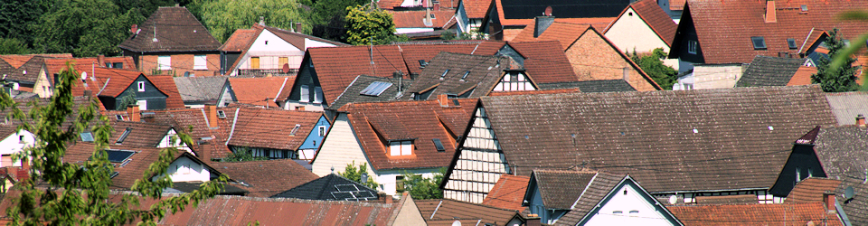 ritterfips' Tagebuch