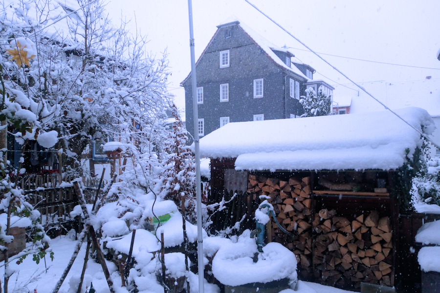 Unser verschneiter Garten